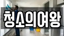 청소의여왕