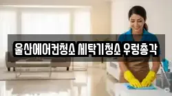 울산광역시 중구 학성동 청소,입주청소,사무실청소,에어컨청소,특수청소,상가청소,거주청소,유품정리