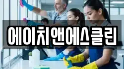 에이치앤에스클린