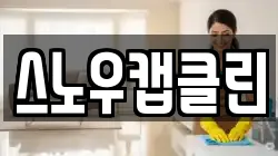 스노우캡클린