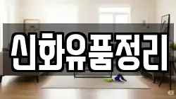 신화유품정리