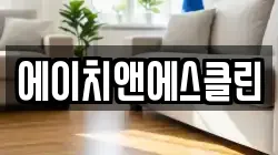 에이치앤에스클린