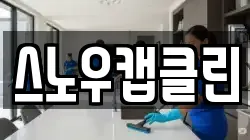 스노우캡클린