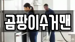 곰팡이수거맨