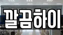 깔끔하이