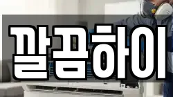 깔끔하이