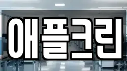 애플크린