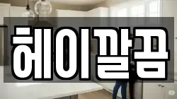헤이깔끔