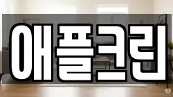 애플크린