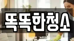 똑똑한청소