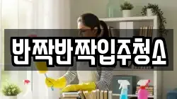 반짝반짝입주청소