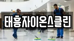 태흥자이온스클린