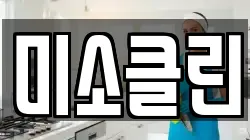 미소클린