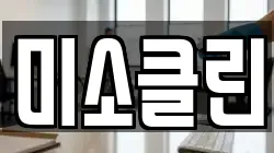 미소클린