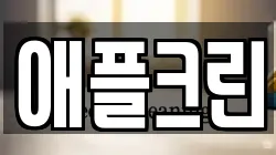 애플크린