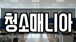 청소매니아