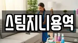 스팀지니용역