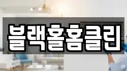 블랙홀홈클린