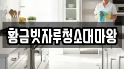 황금빗자루청소대마왕