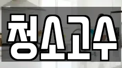 청소고수