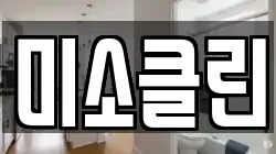 미소클린