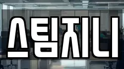 스팀지니