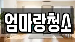 엄마랑청소