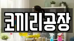 울산 중구 북정동 청소,입주청소,사무실청소,에어컨청소,특수청소,상가청소,거주청소,유품정리
