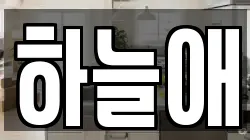 하늘애