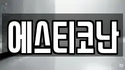 에스티코난