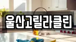 울산고릴라클린