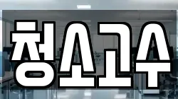 청소고수