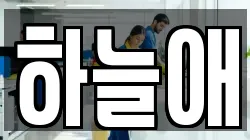 하늘애