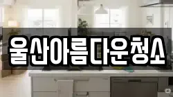 울산아름다운청소