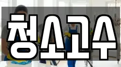 청소고수