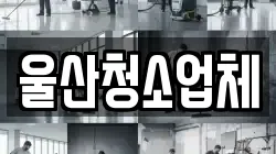 울산청소업체