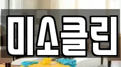 미소클린