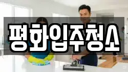 평화입주청소