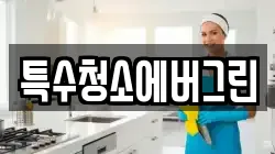 특수청소에버그린