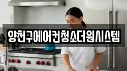 양천구에어컨청소더원시스템
