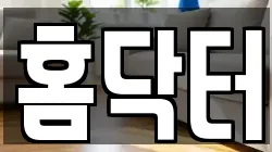 홈닥터