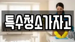 특수청소가자고