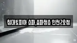 침대토피아 소파,쇼파청소 인천2호점