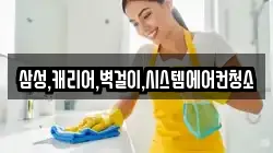 삼성,캐리어,벽걸이,시스템에어컨청소