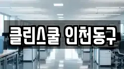 클린스쿨 인천동구