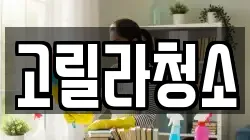 고릴라청소