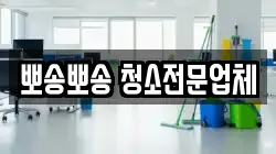 뽀송뽀송 청소전문업체