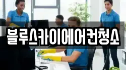 블루스카이에어컨청소