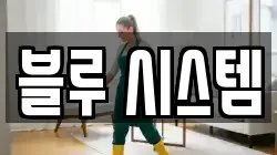 블루 시스템