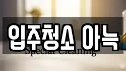 입주청소 아늑